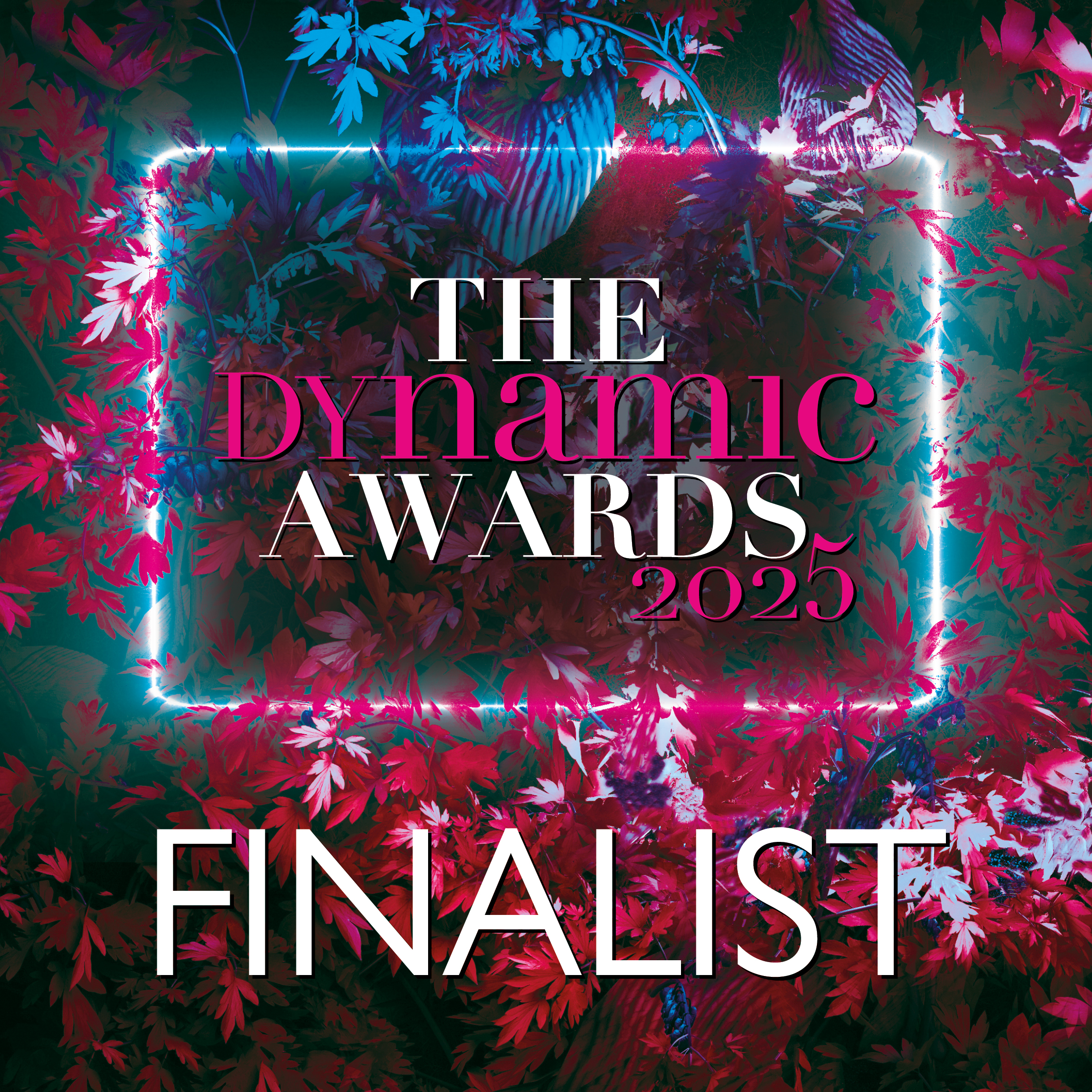 Community Hero (Finalist) - Dynamic Awards 2025